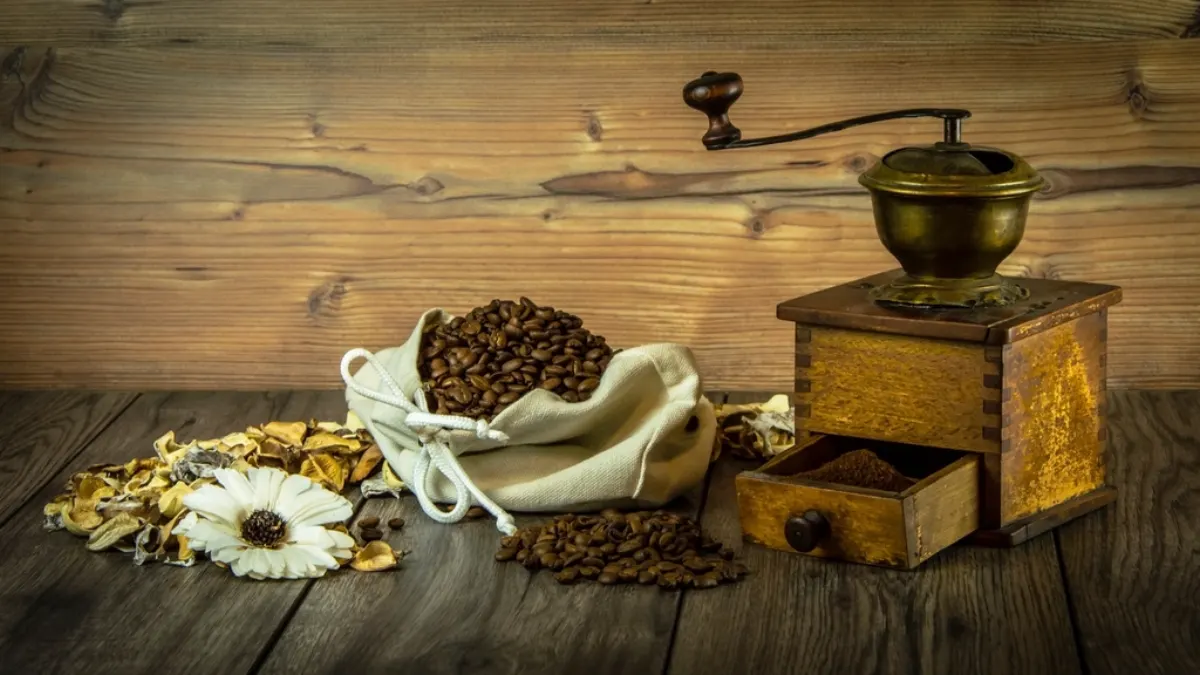 Café en grano en un saco junto a un molinillo antiguo